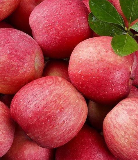 แอปเปิ้ลทุกประเภท