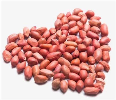 ถั่วลิสงดิบขนาดใหญ่สด