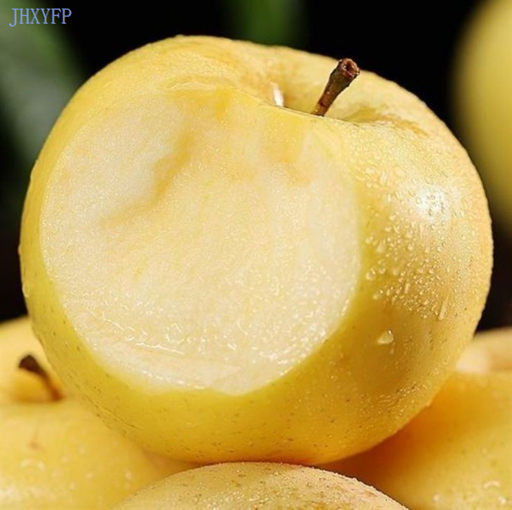 Yellow Apple Fruits